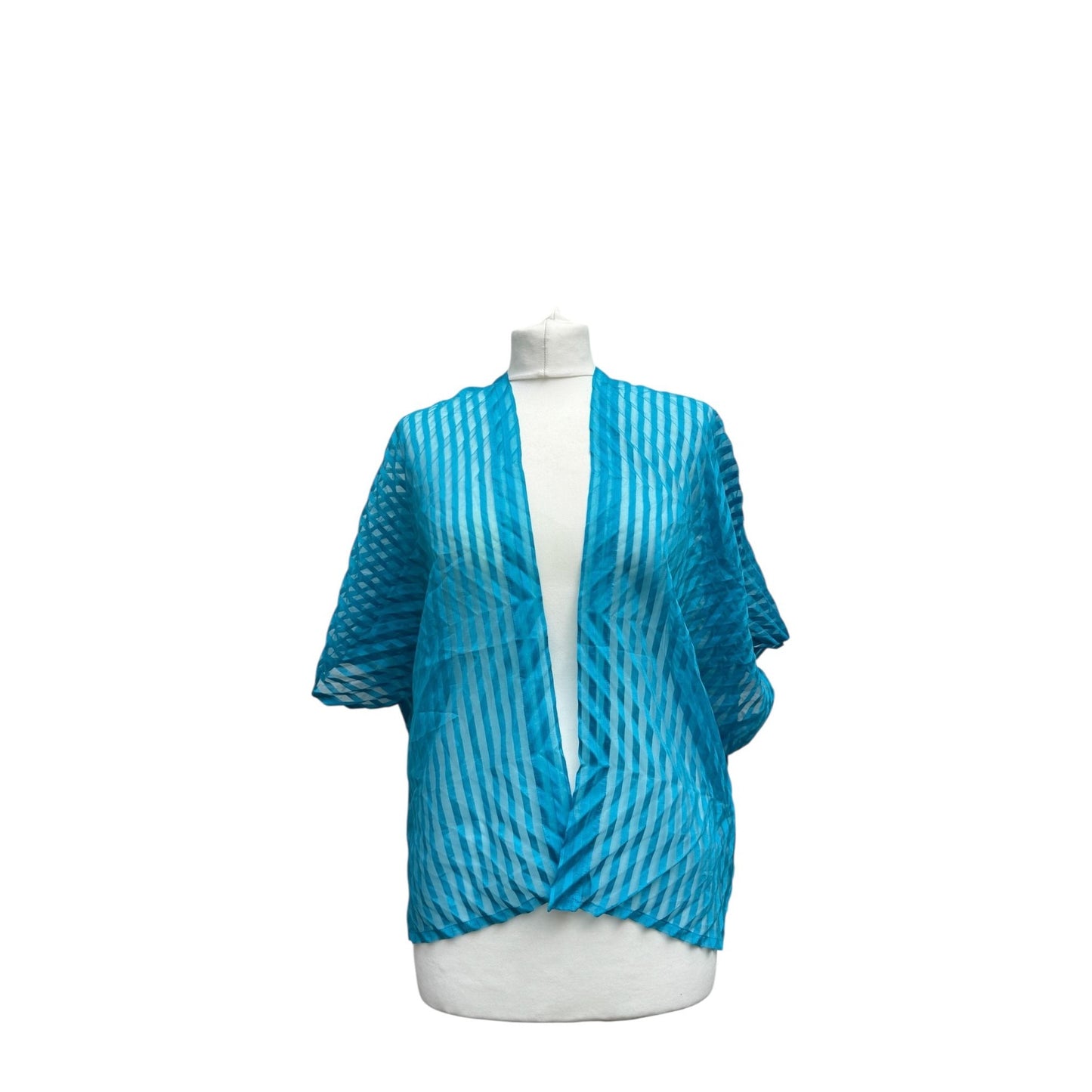 Blue Striped Sheer Pleated Top