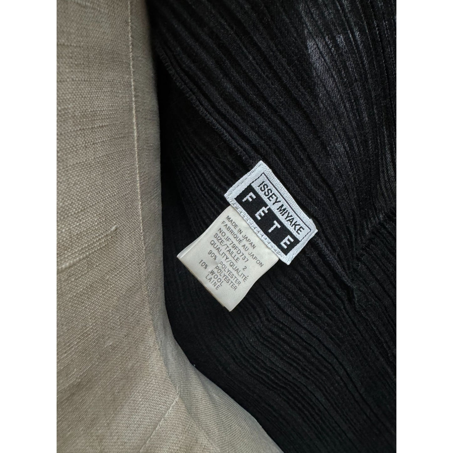 Black Pleated Pleats Coat