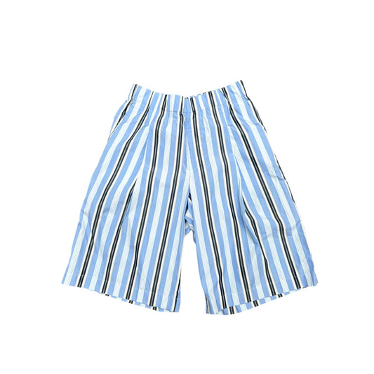 Wide Striped Navy Blue Shorts