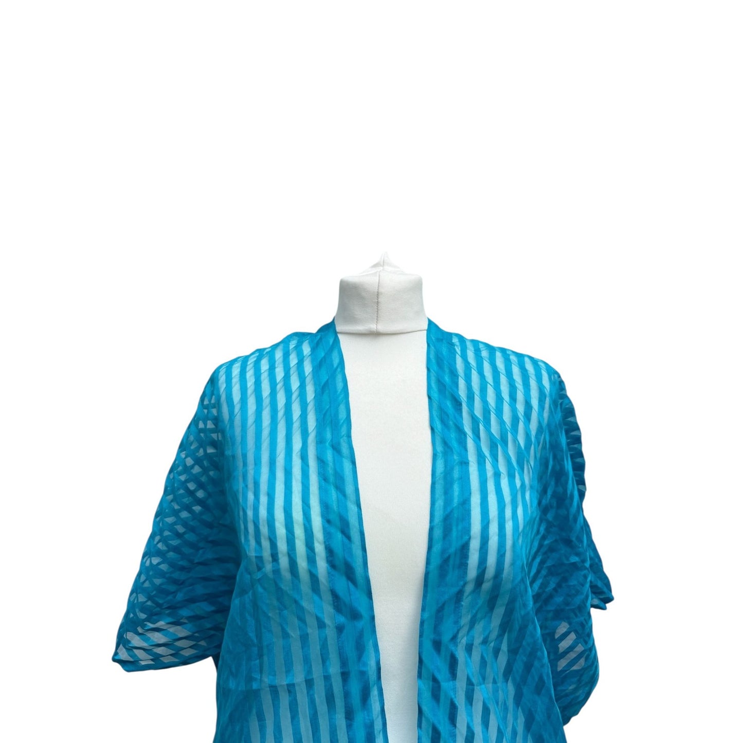 Blue Striped Sheer Pleated Top