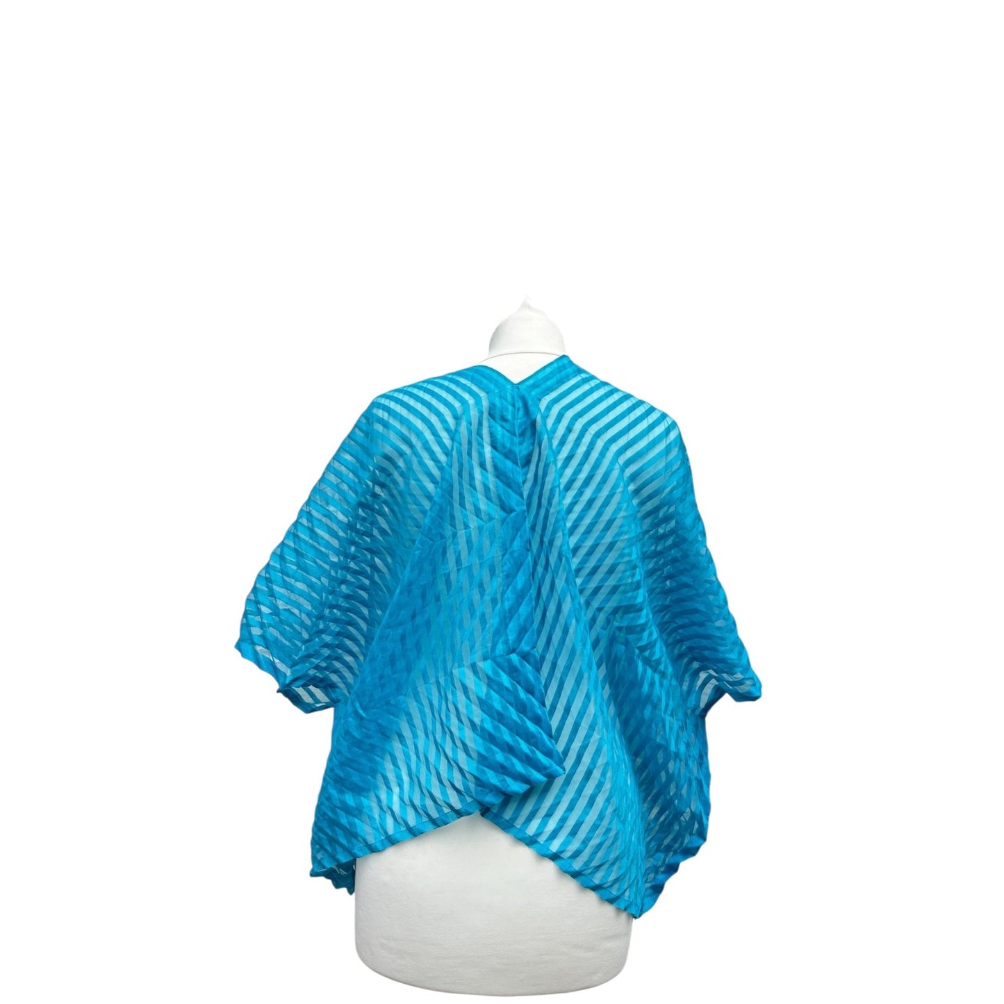 Blue Striped Sheer Pleated Top