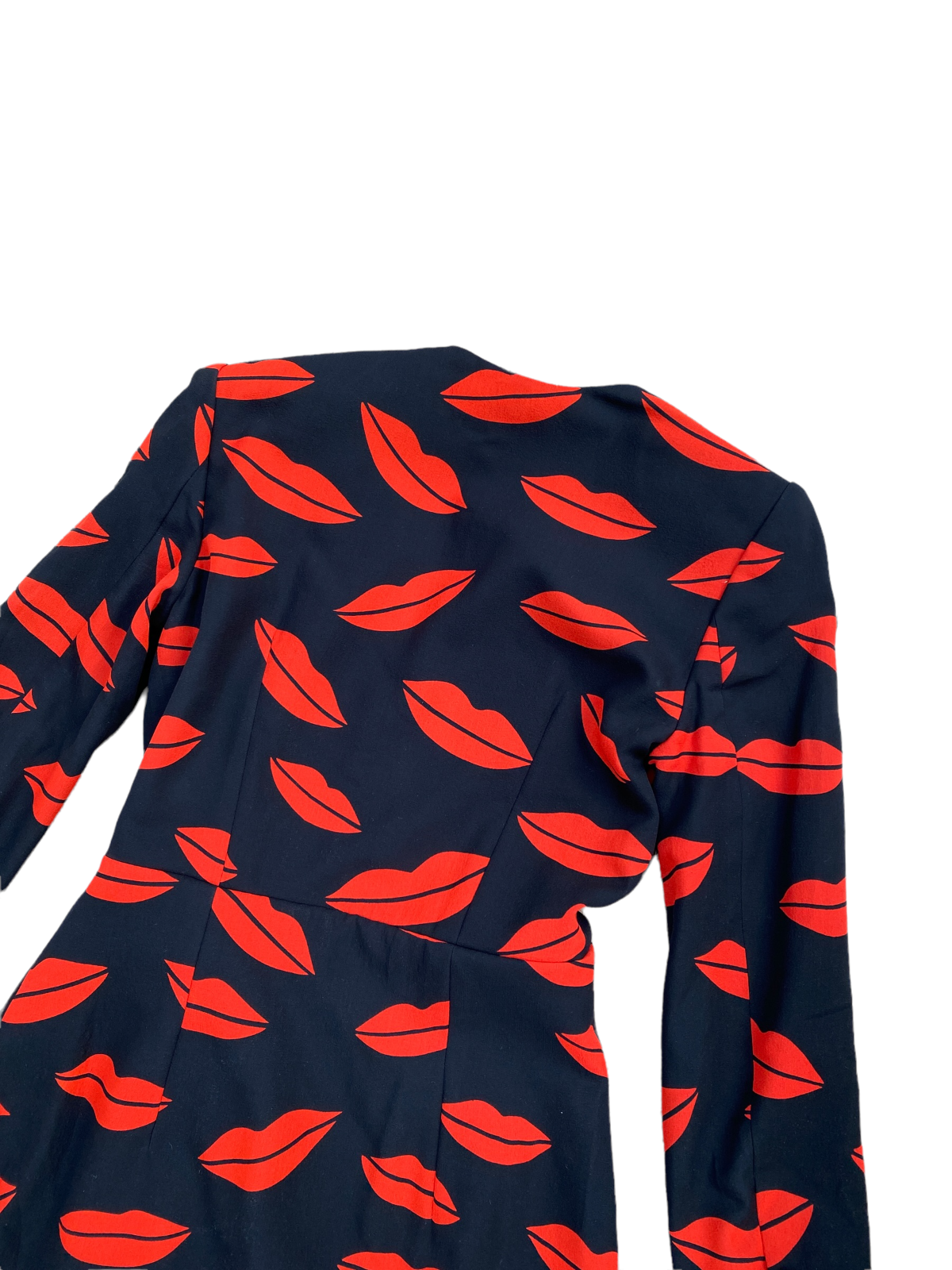 FW 2016 Lips Silk Iconic Dress