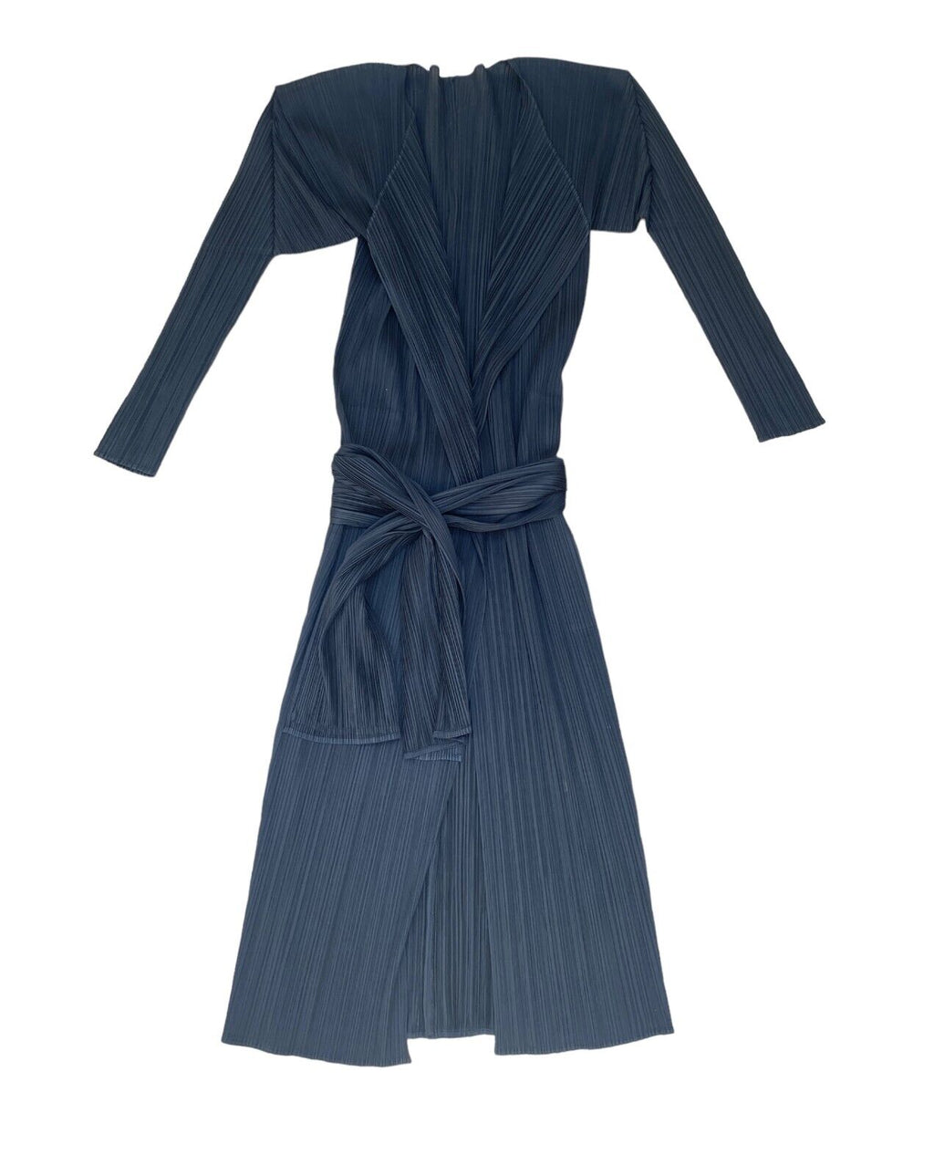 Black Long Pleated Coat / Dress